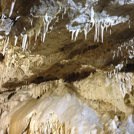 Diana Kwatera prywatna *